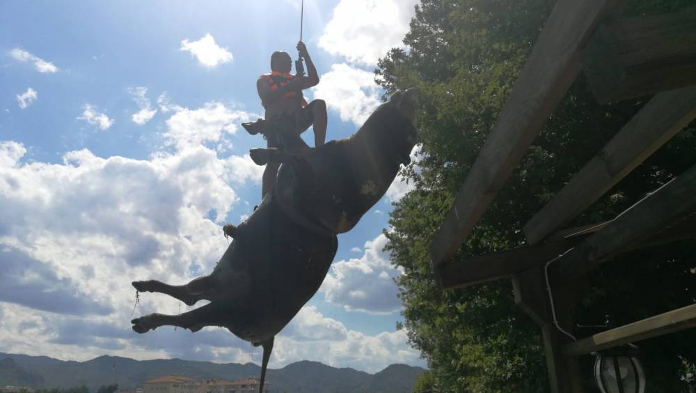 Kızılırmak Nehri'nden böyle kurtarıldı 3