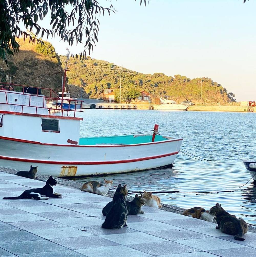 Ünlülerin tatil paylaşımları tıklanma rekorları kırıyor 11