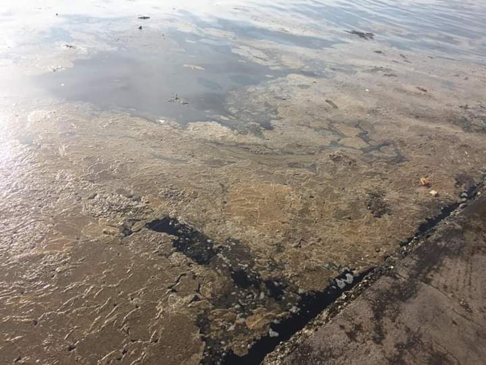 İzmit Körfezi'nde kimyasal kirlilik. Bir kilometreyi buldu 4