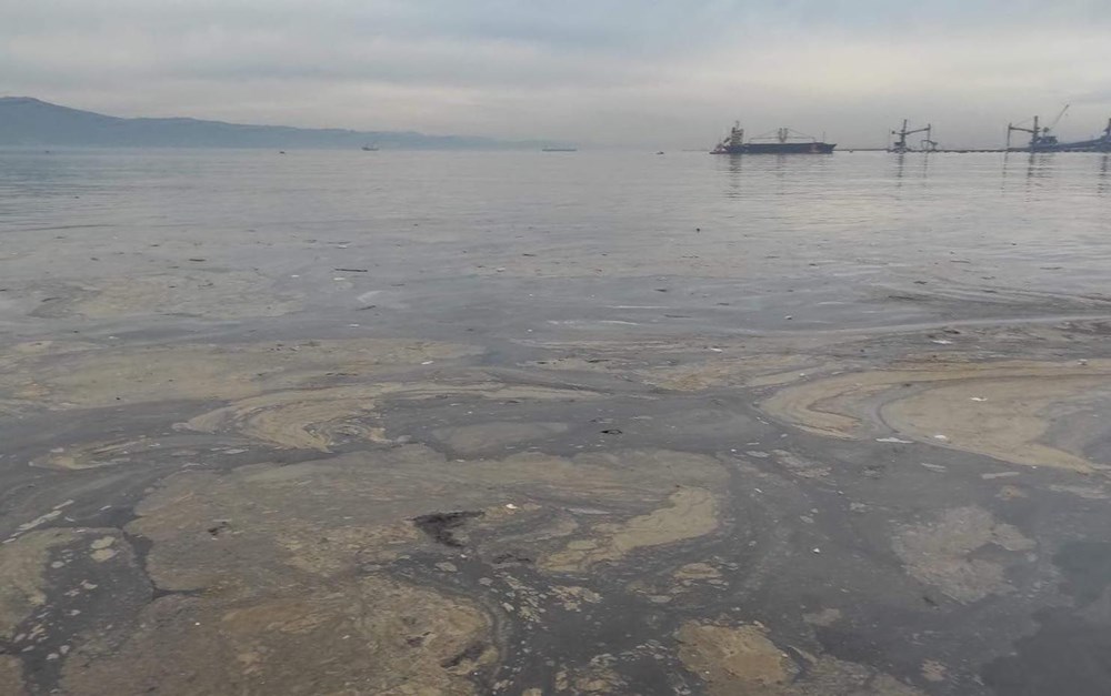 İzmit Körfezi'nde kimyasal kirlilik. Bir kilometreyi buldu 1