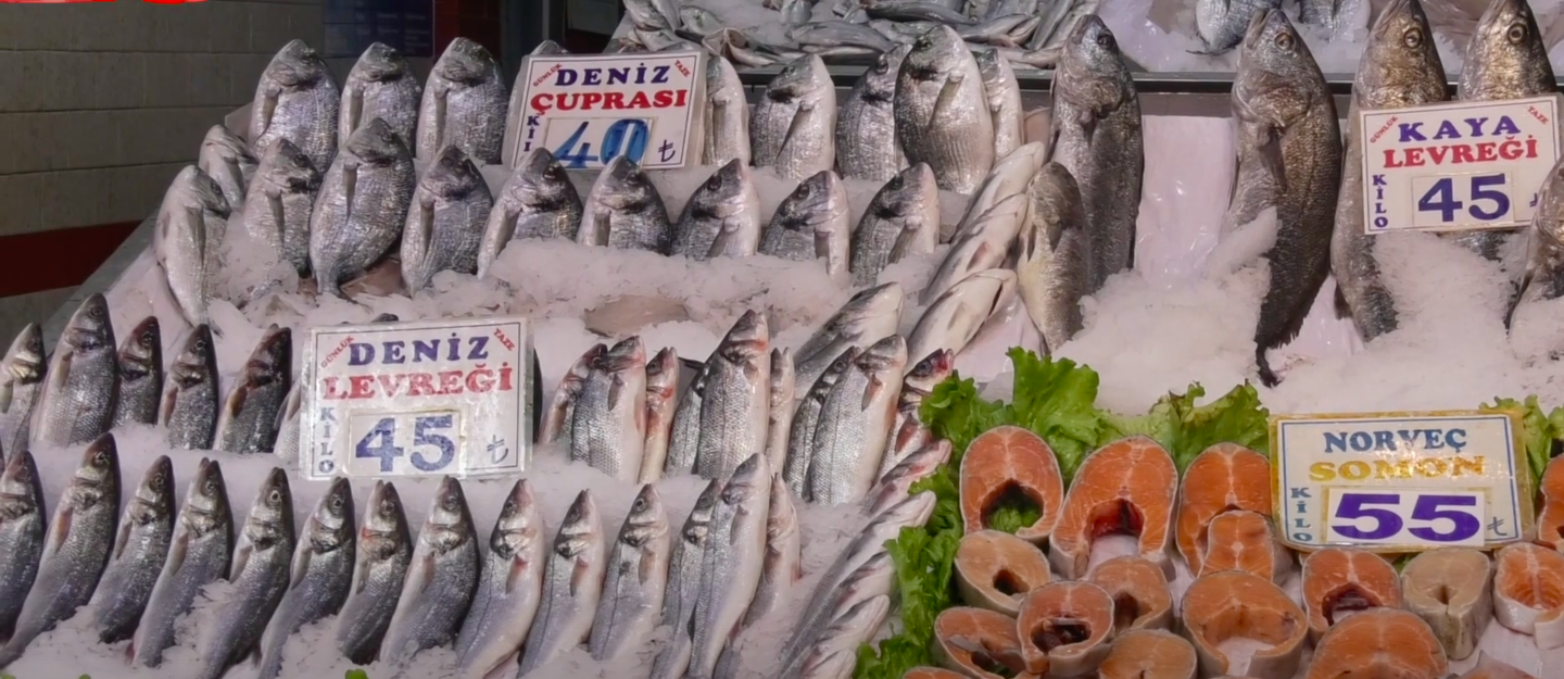 Balık piyasasında neler oluyor? Filozof balıkçı fiyatların neden yüksek olduğunu açıkladı! 1