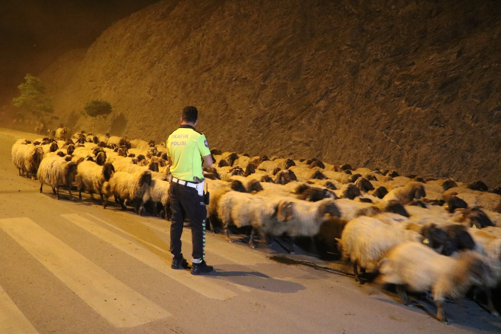 Hakkari'de National Geographic 7