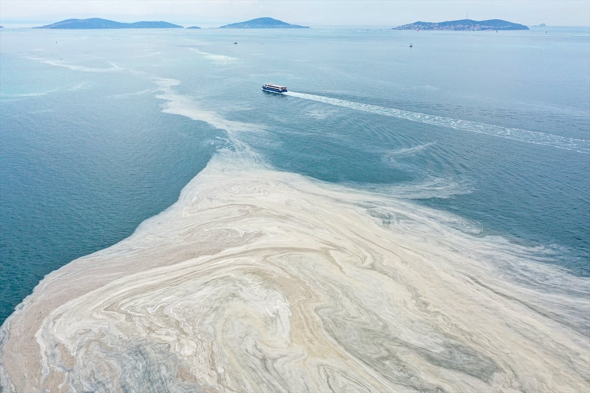 Marmara'daki deniz salyasının nedeni belli oldu. Uzmanların ortak fikri 2