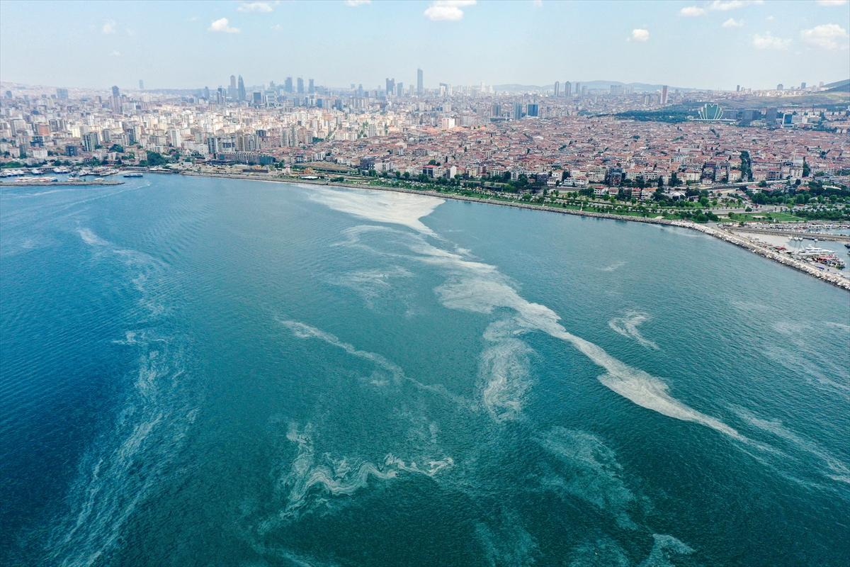 Marmara'daki deniz salyasının nedeni belli oldu. Uzmanların ortak fikri 12