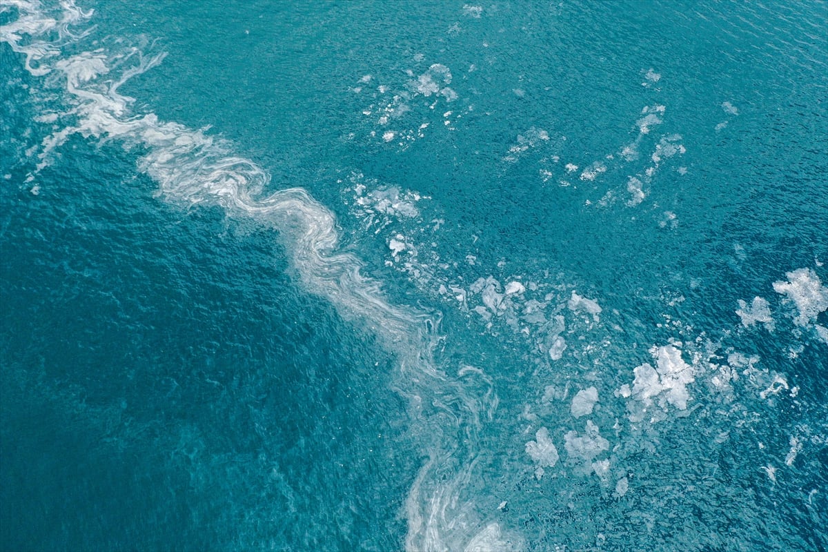 Marmara'daki deniz salyasının nedeni belli oldu. Uzmanların ortak fikri 22