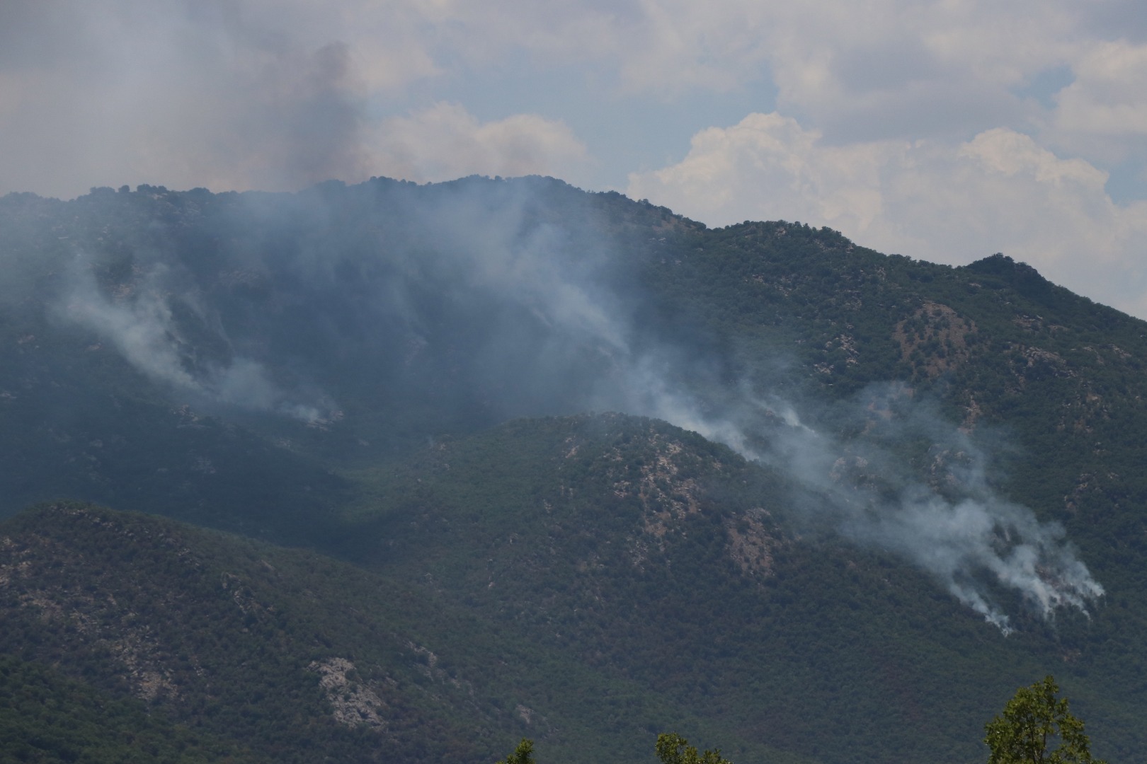 5 gün süren orman yangınında 30 hektar kül oldu 2