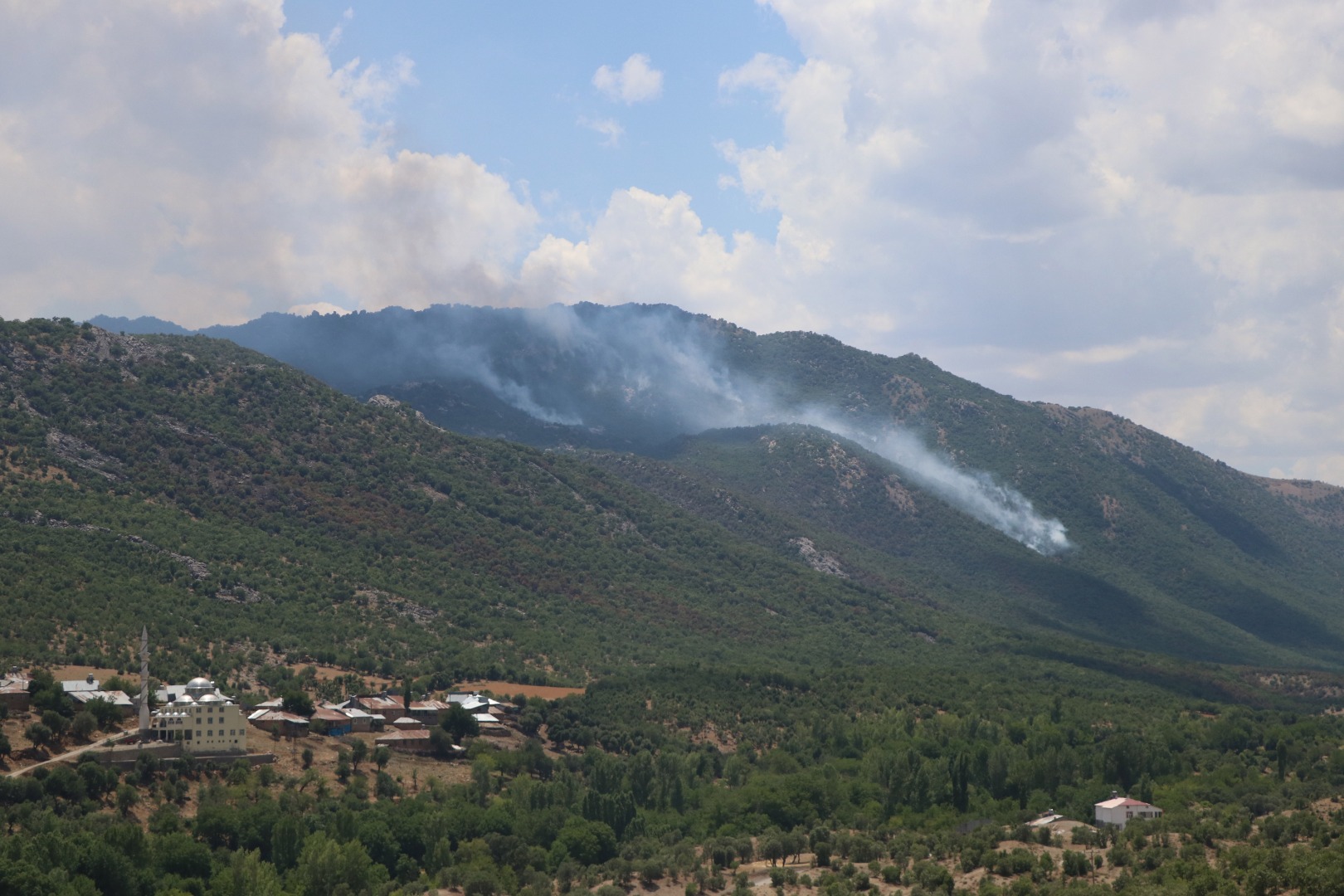 5 gün süren orman yangınında 30 hektar kül oldu 3