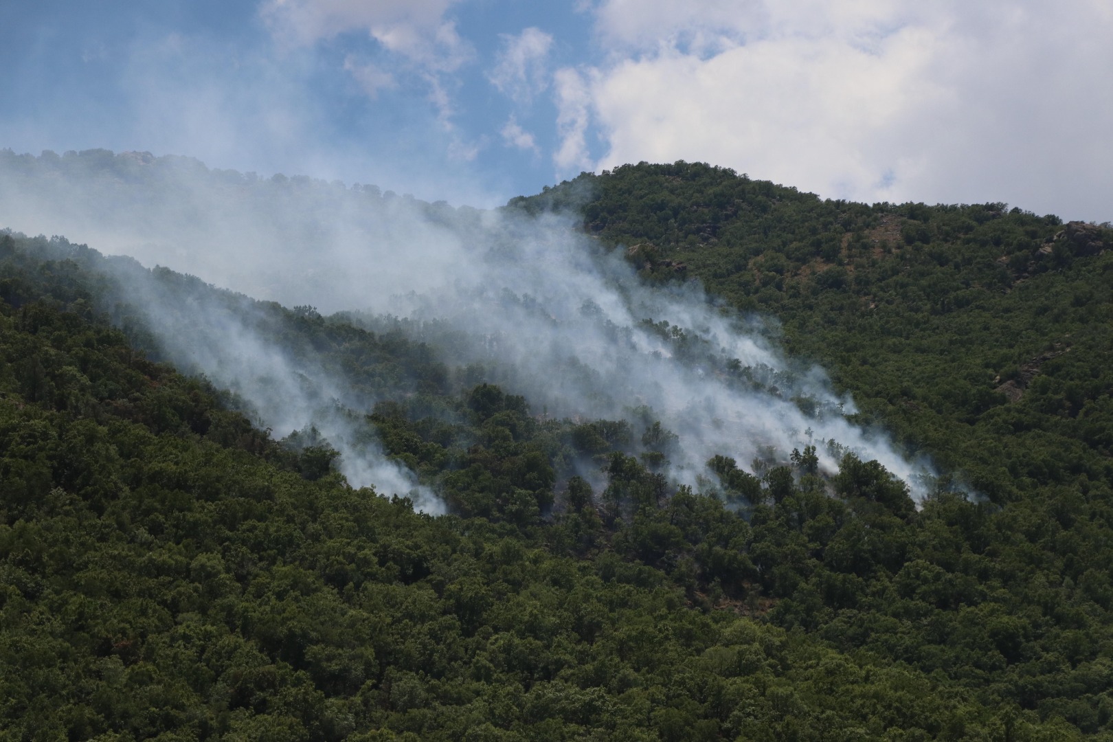 5 gün süren orman yangınında 30 hektar kül oldu 6