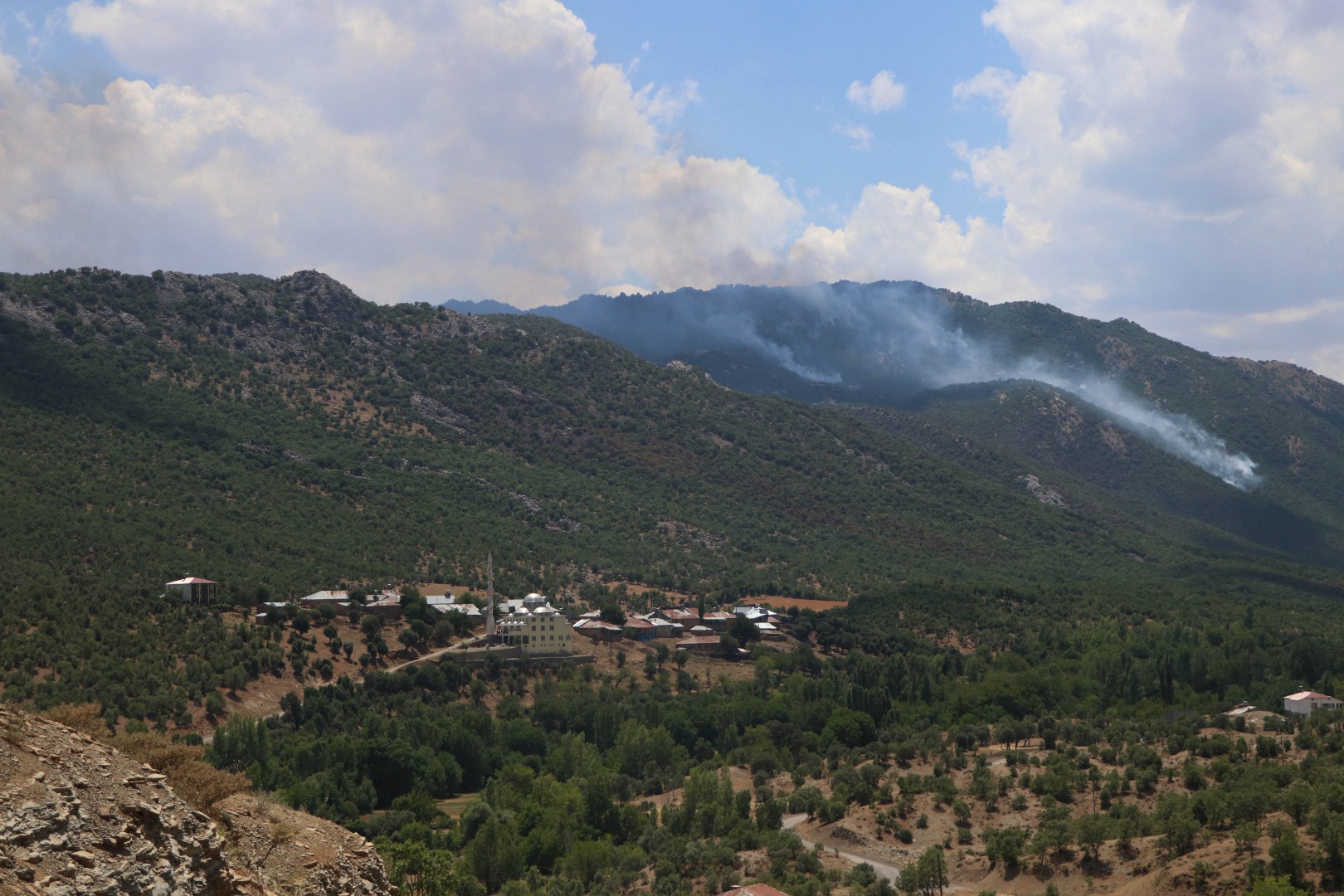 5 gün süren orman yangınında 30 hektar kül oldu 4