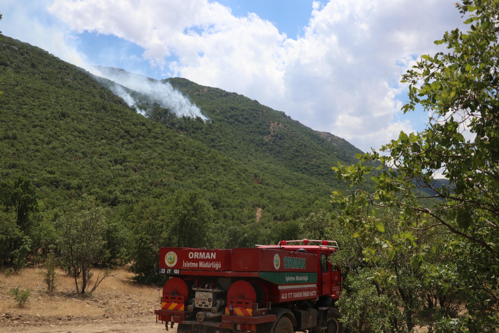 5 gün süren orman yangınında 30 hektar kül oldu 7