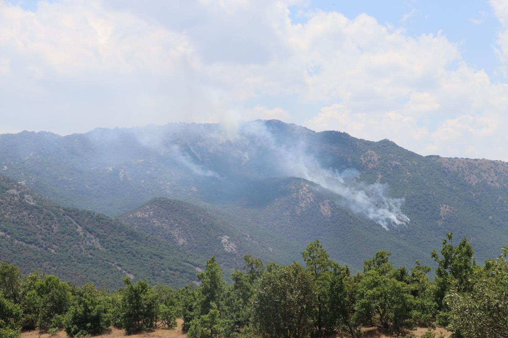 5 gün süren orman yangınında 30 hektar kül oldu 1