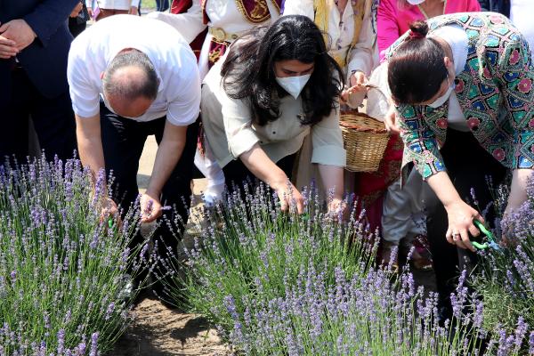 Edirne'de Lavanta Tarla Günleri ile mor bahçeler şenlendi 4