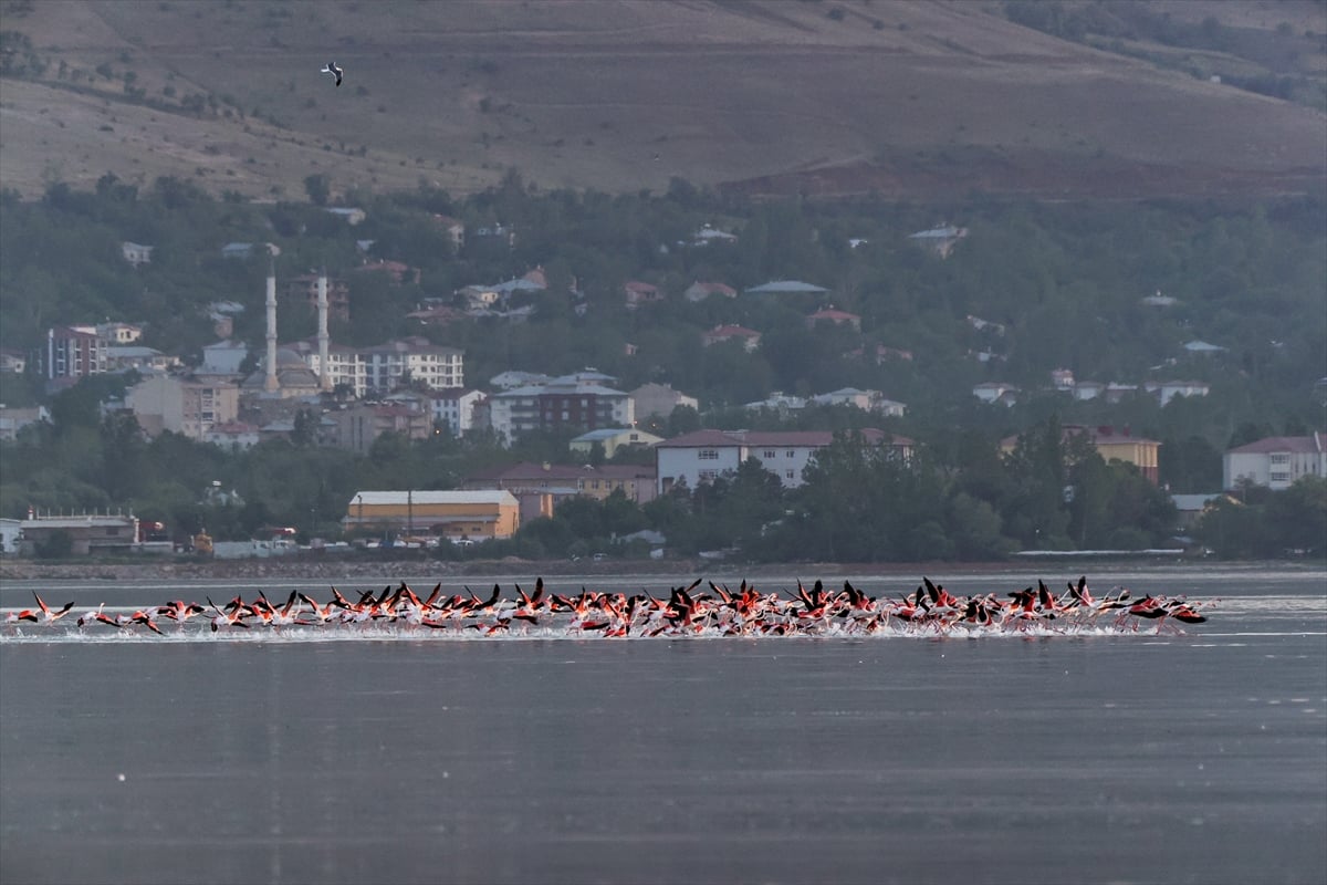 Ölmeden önce mutlaka görün. Van'da eşsiz görüntüler 23