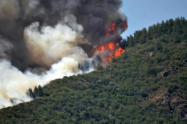 Marmaris'teki yangının yeni fotoğrafları ortaya çıktı 29
