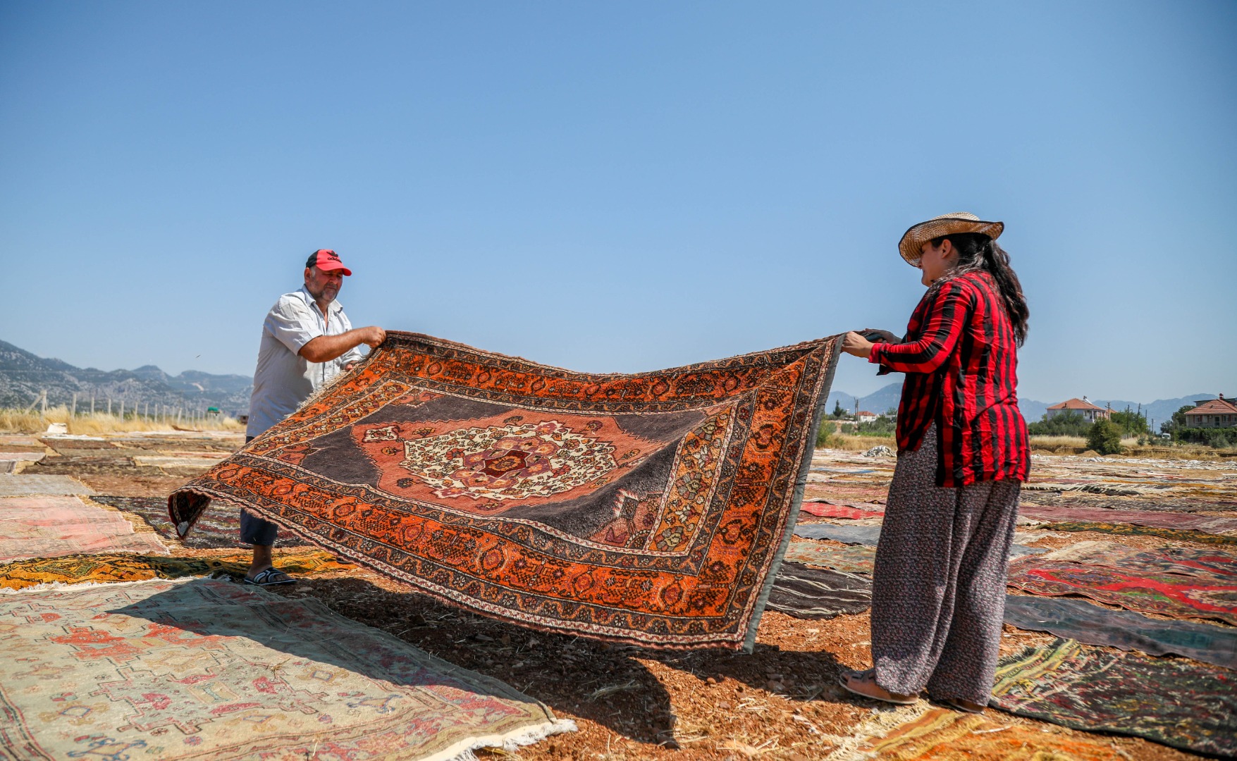 Antalya'da görsel şölen. Halı tarlaları hayran bıraktı 11