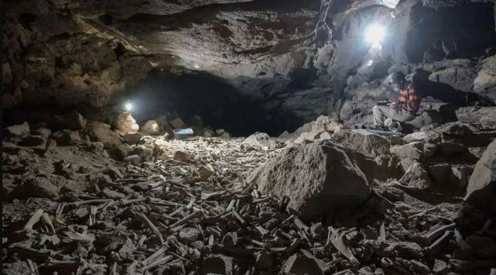 Araştırmacılar korkudan yıllarca mağaraya giremedi 4