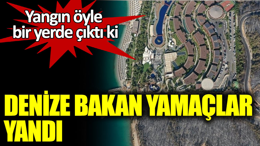 Yangın denize bakan kısımlarda ortaya çıktı 1