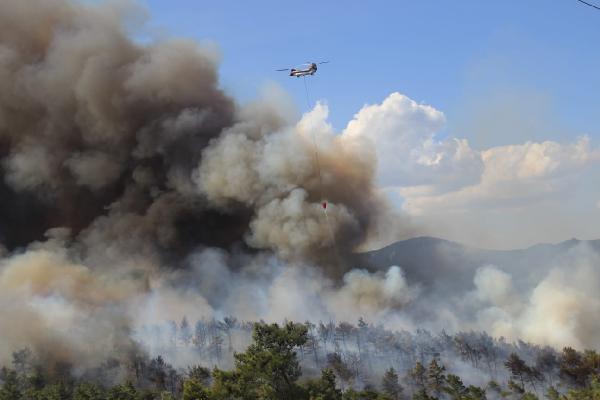 Çanakkale'de orman yangını 10