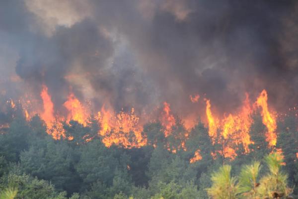 Çanakkale'de orman yangını 7