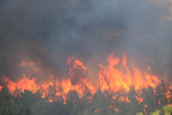 Çanakkale'de orman yangını 3
