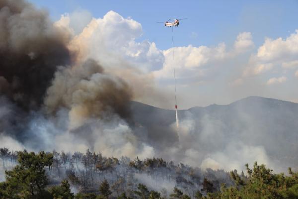 Çanakkale'de orman yangını 11