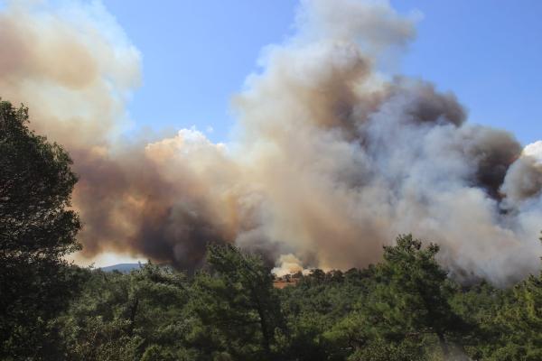Çanakkale'de orman yangını 12