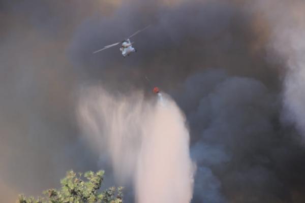 Çanakkale'de orman yangını 4