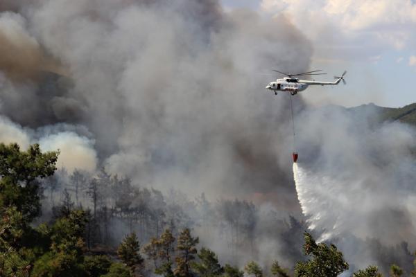Çanakkale'de orman yangını 2