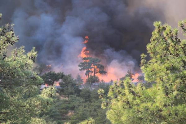 Çanakkale'de orman yangını 5