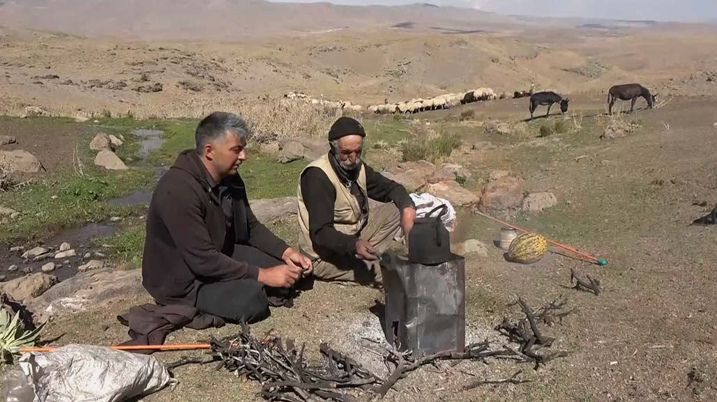 Kuraklık onları da vurdu. Erken dönüş başladı 7