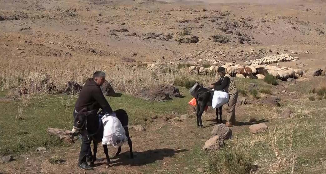 Kuraklık onları da vurdu. Erken dönüş başladı 1