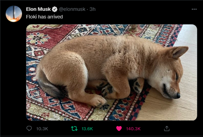 Floki Inu, Elon Musk etkisiyle yükseldi 5