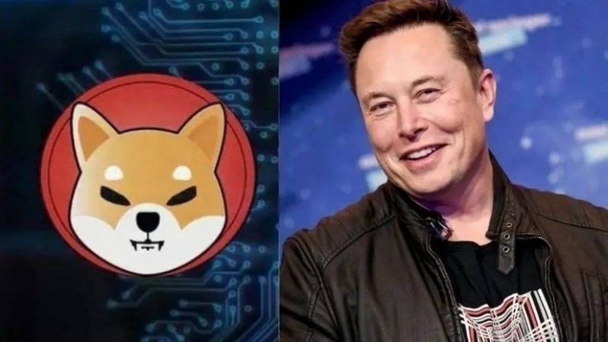 Floki Inu, Elon Musk etkisiyle yükseldi 3