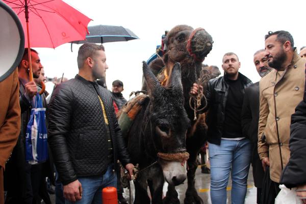 İstanbul'da develi protesto. Görenler gözlerine inanamadı 6