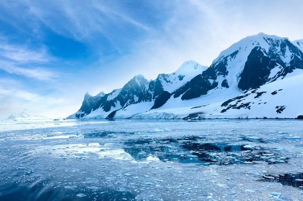 Bilim insanları Antartika'nın altında hayat buldu 9