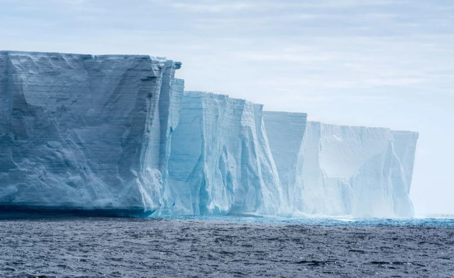 Bilim insanları Antartika'nın altında hayat buldu 4