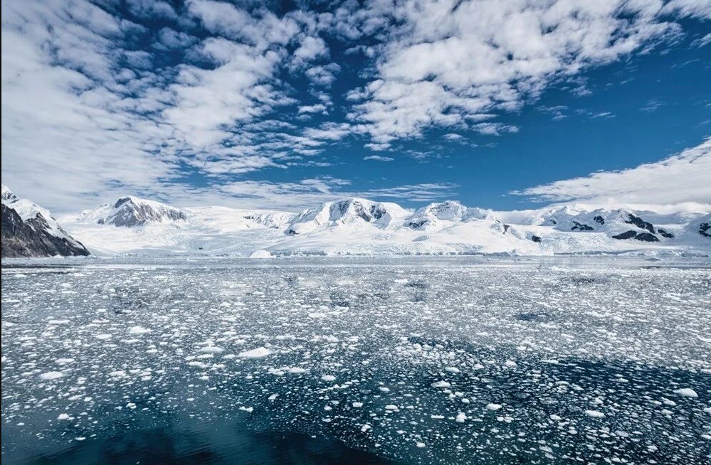 Bilim insanları Antartika'nın altında hayat buldu 5