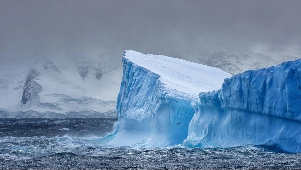 Bilim insanları Antartika'nın altında hayat buldu 6