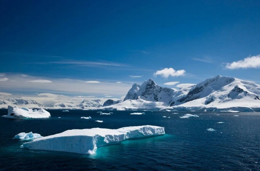 Bilim insanları Antartika'nın altında hayat buldu 1