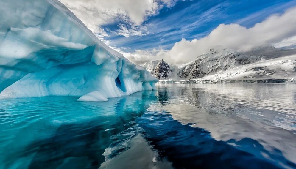 Bilim insanları Antartika'nın altında hayat buldu 3