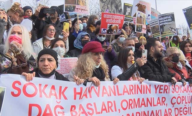 Sokak hayvanları için Kadıköy Rıhtım'da buluştular 2