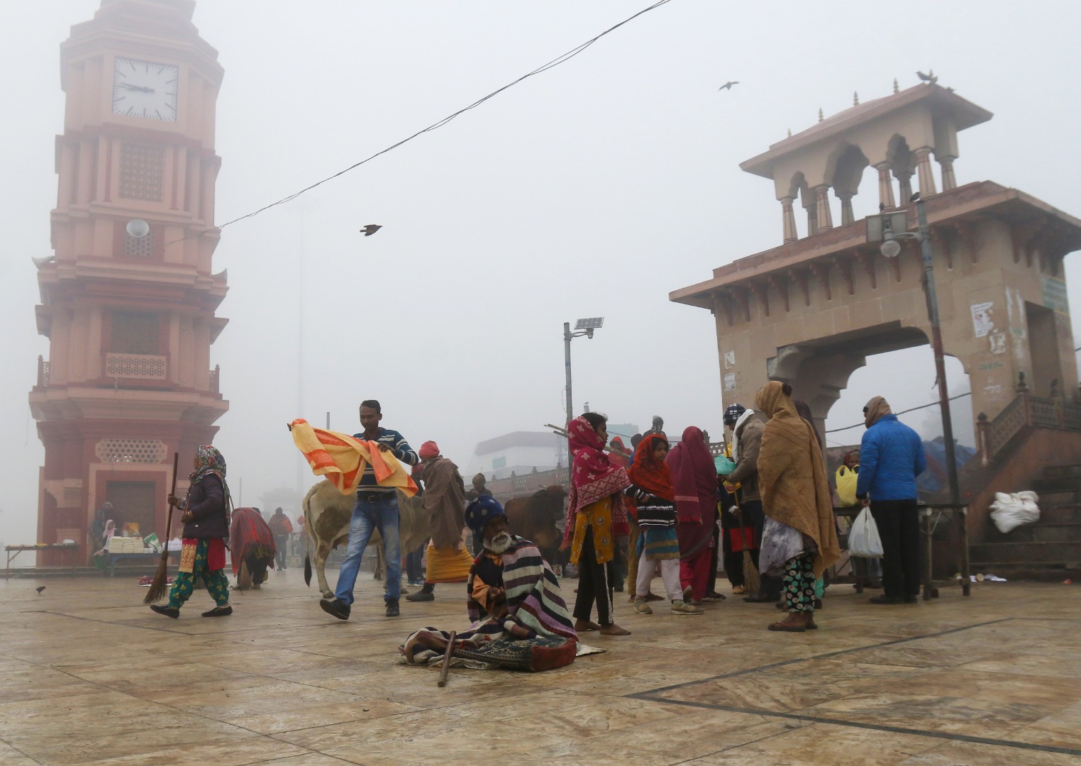 Hindistan'da Makar Sankranti festivali 7