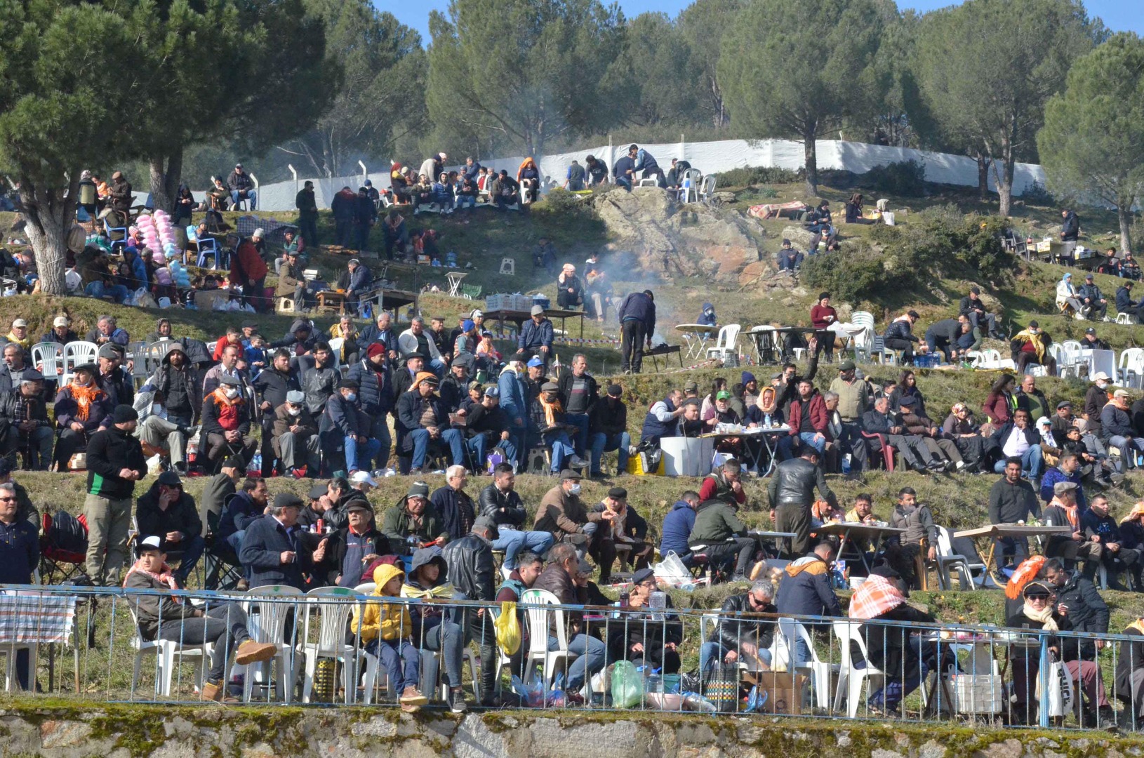 Deve güreşi festivalinde renkli görüntüler 3