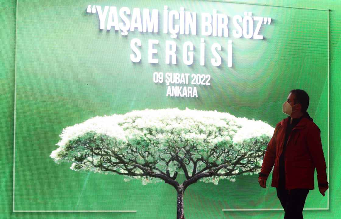 Erdoğan'ın topladığı sigara paketleri için sergi açıldı 6
