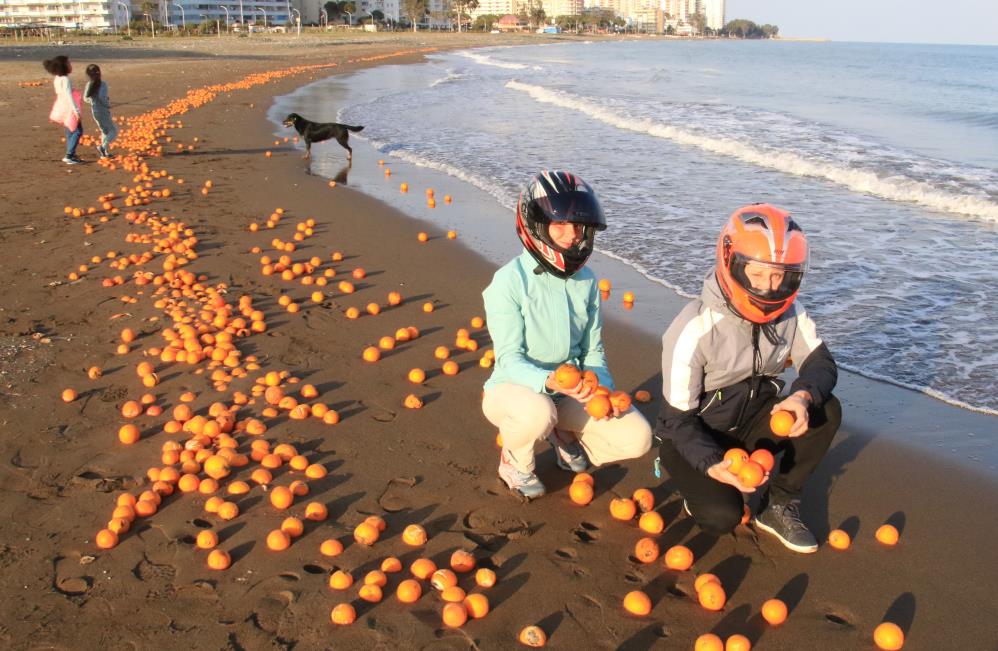 Mersin'de binlerce portakal sahile vurdu. Görenler şok oldu 6