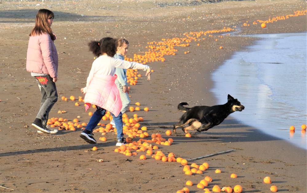 Mersin'de binlerce portakal sahile vurdu. Görenler şok oldu 7