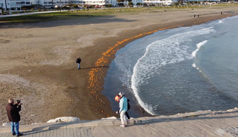 Mersin'de binlerce portakal sahile vurdu. Görenler şok oldu 8