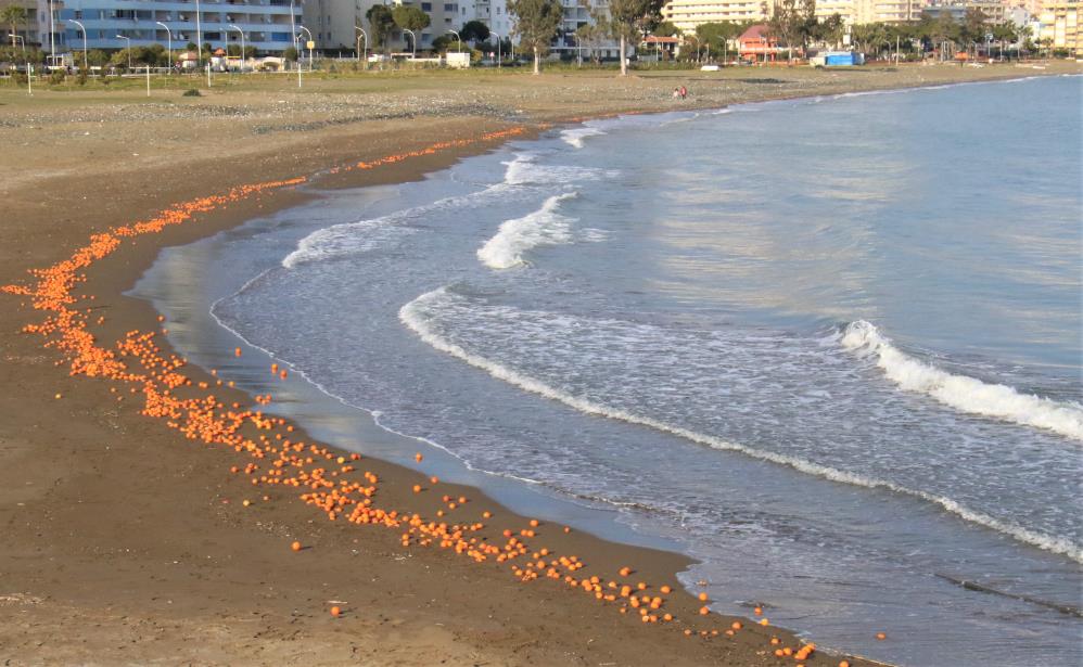 Mersin'de binlerce portakal sahile vurdu. Görenler şok oldu 9