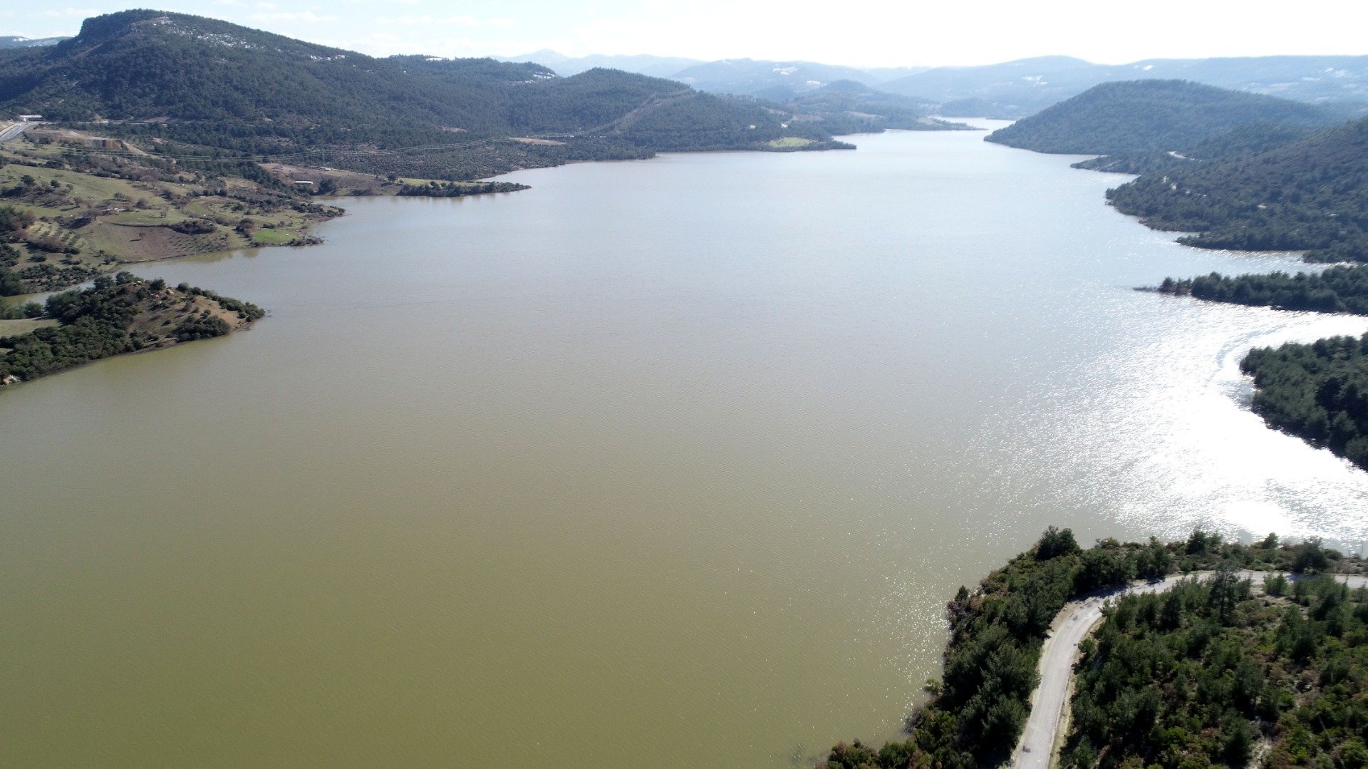 Su kaynaklarındaki istilacı zebra midyeleri, tatlı su yengecini yok edecek 13