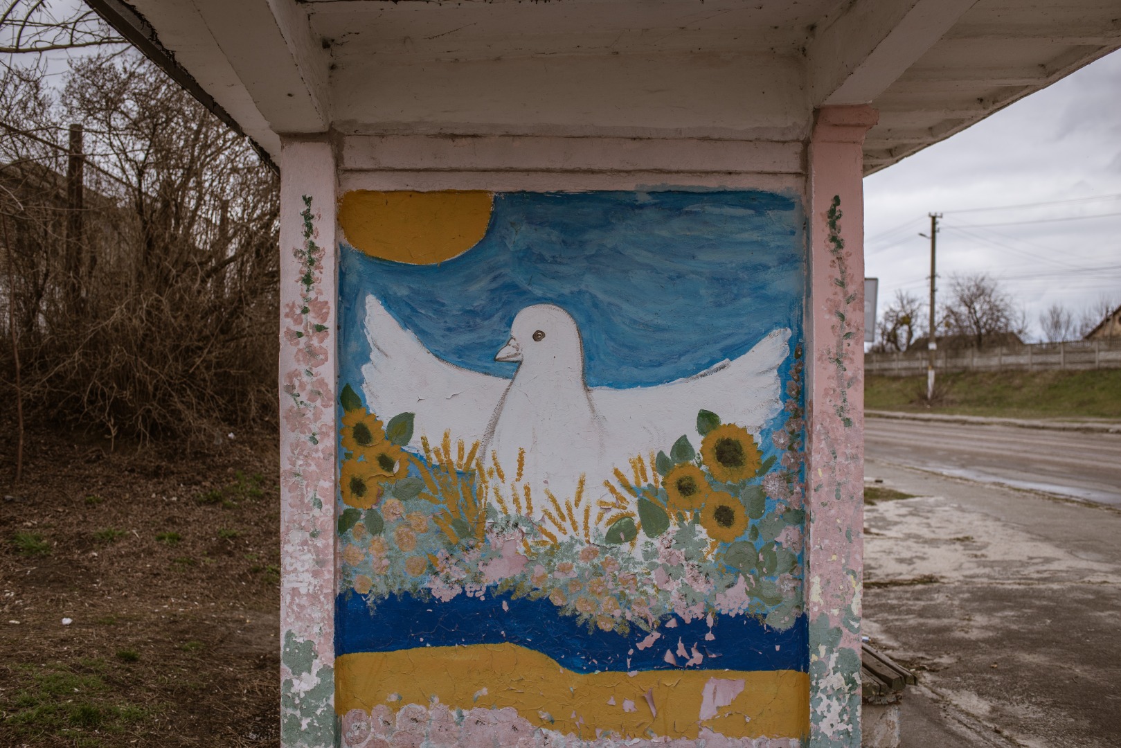 Ukrayna Hostomel'de kan donduran görüntüler 53